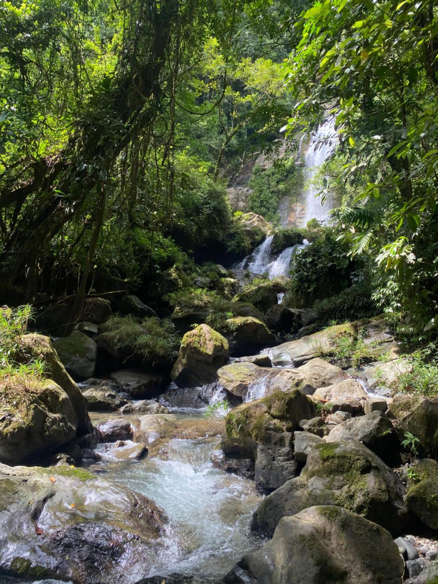 Rainforest Yasmin Hotel Santa Fe  Dış mekan fotoğraf