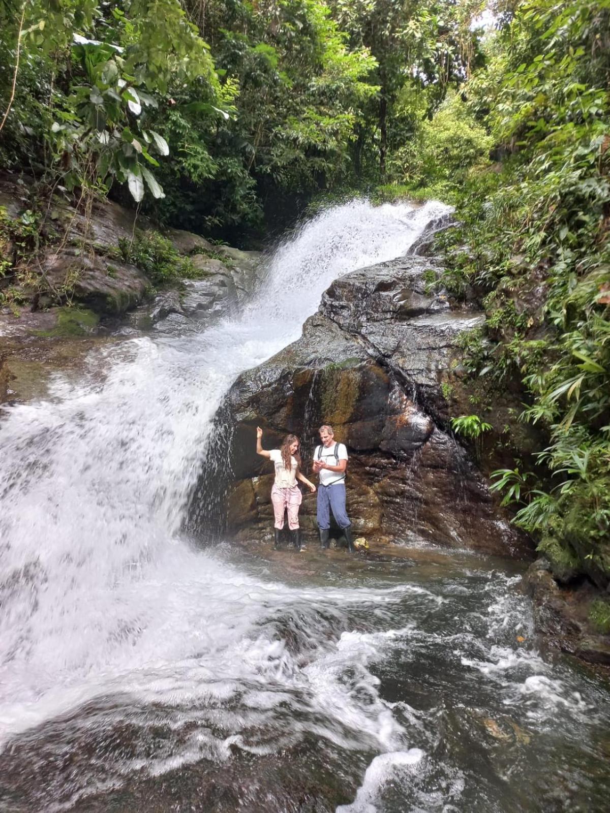 Rainforest Yasmin Hotel Santa Fe  Dış mekan fotoğraf