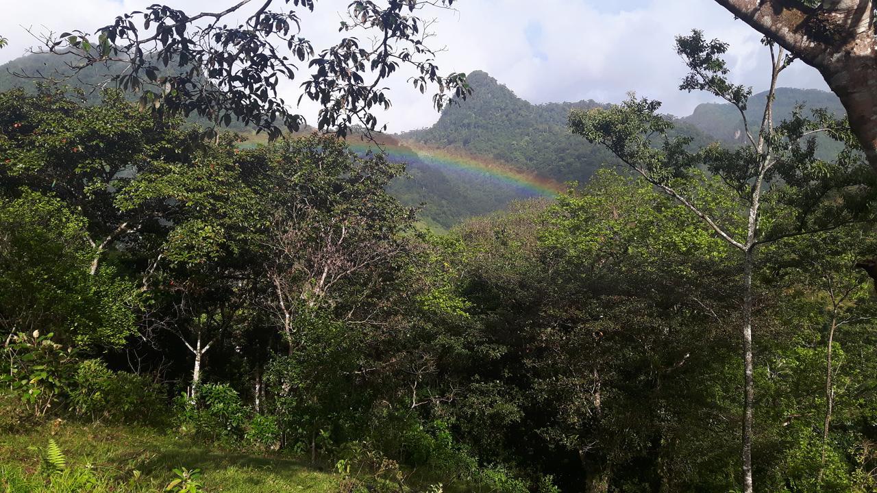 Rainforest Yasmin Hotel Santa Fe  Dış mekan fotoğraf