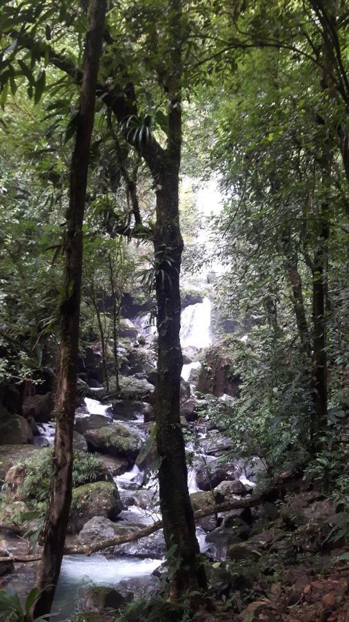 Rainforest Yasmin Hotel Santa Fe  Dış mekan fotoğraf