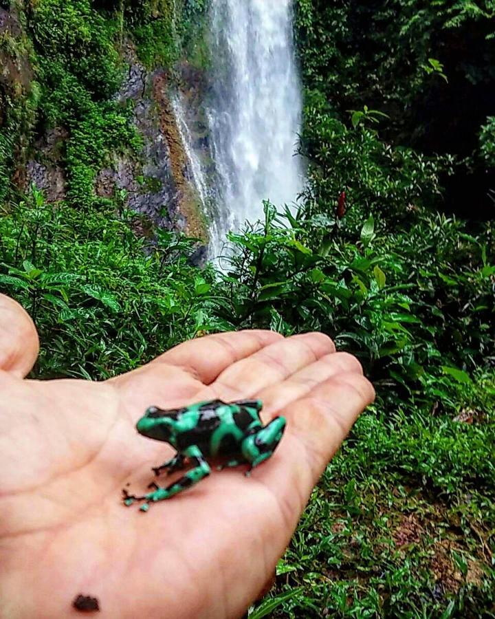 Rainforest Yasmin Hotel Santa Fe  Dış mekan fotoğraf