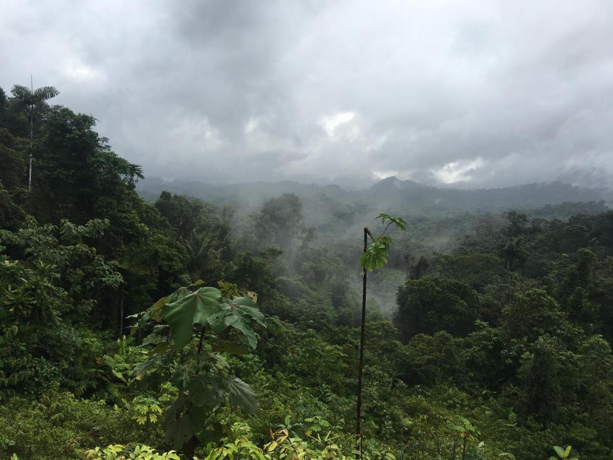 Rainforest Yasmin Hotel Santa Fe  Dış mekan fotoğraf